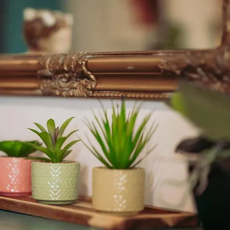 Orpheus House Beachfront 2bdr * Ханья (Крит)