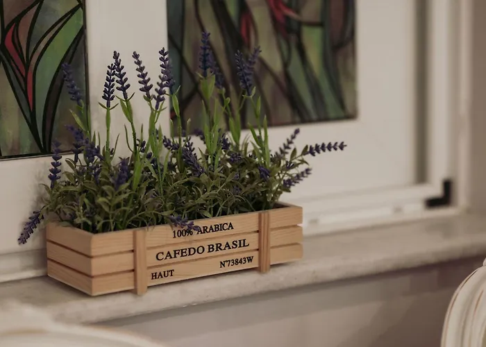 Orpheus House Beachfront 2br With Balcony & Sea View Walk To Old Town