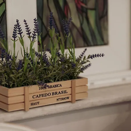 Orpheus House Beachfront 2bdr